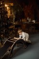 Zestaw wspinaczkowy Czarny M - Święta w Babywood (2).webp